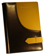WS25A01
